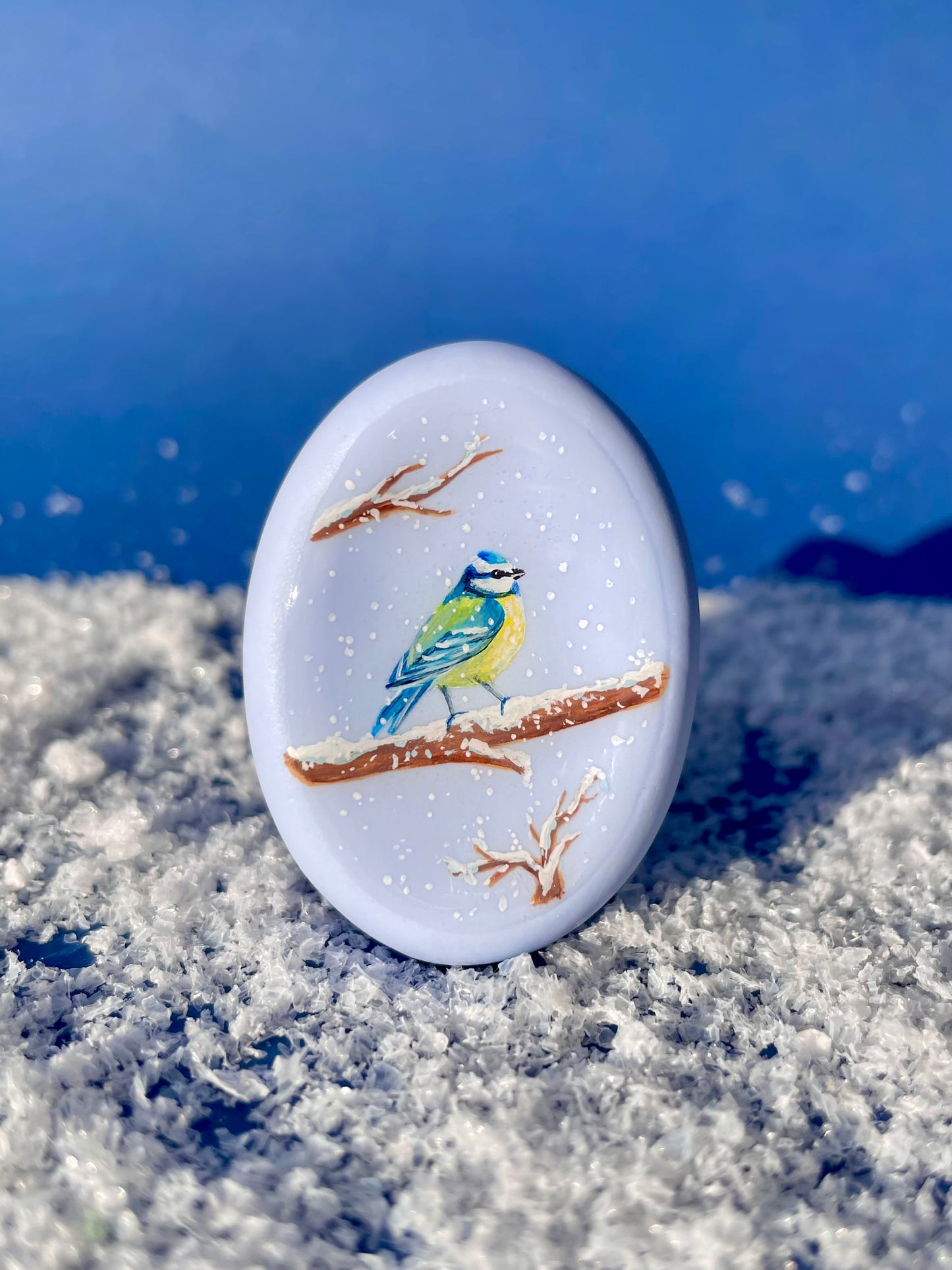 Un jardin sous la neige