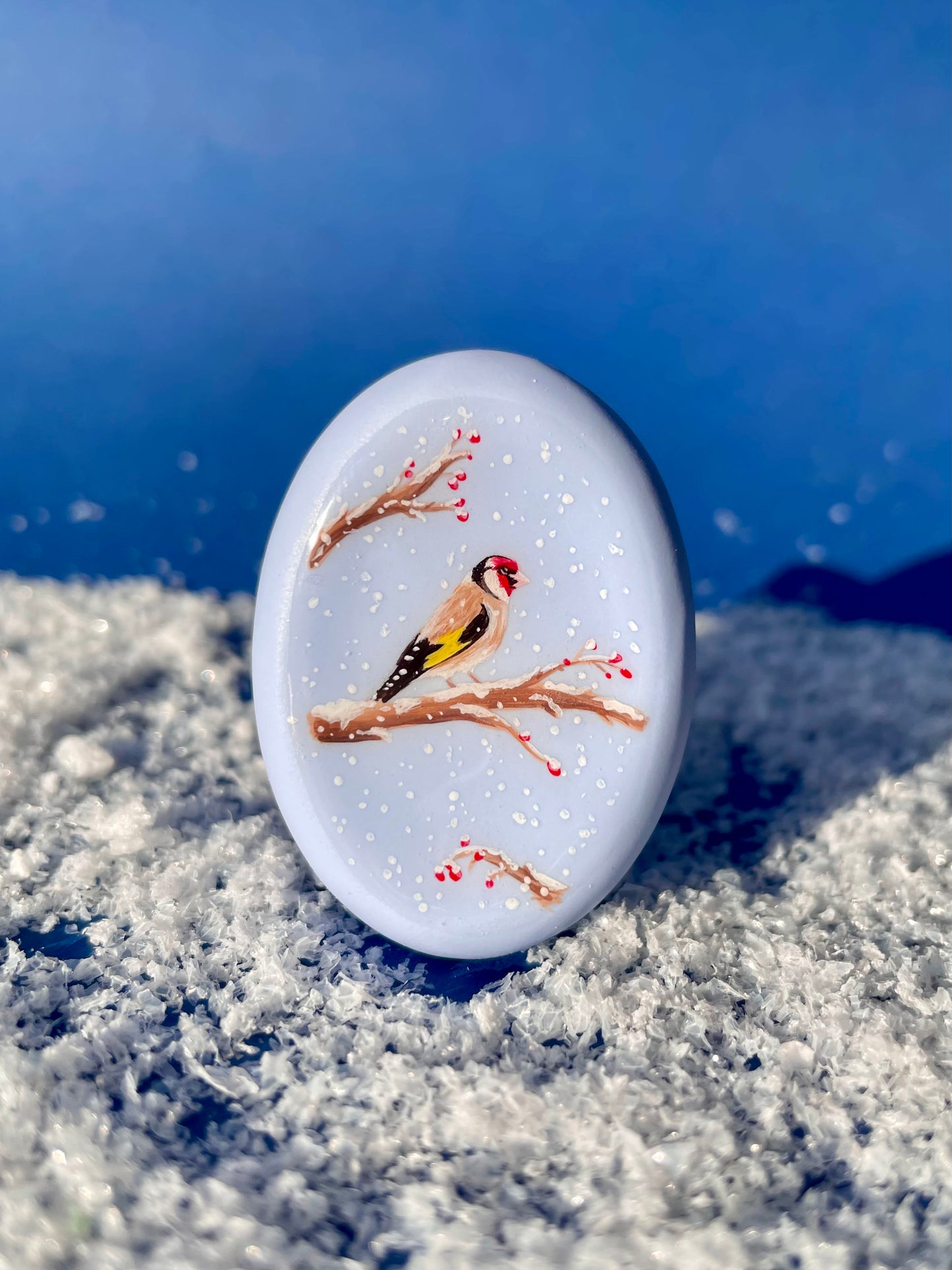 Un jardin sous la neige